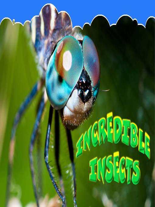 Title details for Incredible Insects by Kelli L. Hicks - Available